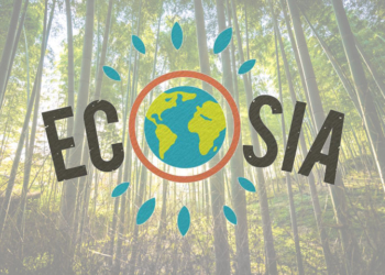 Ecosia – Die Suchmaschine die Bäume pflanzt
