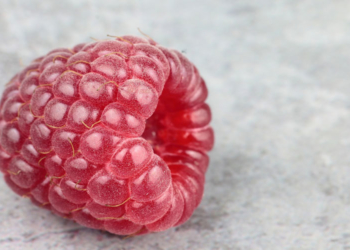 Webserver auf Rasbian Buster installieren